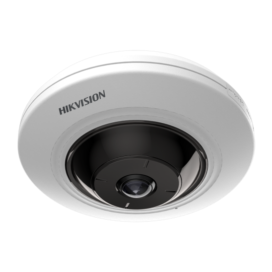 Hikvision  DS-2CD2955FWD-I(1.05mm)