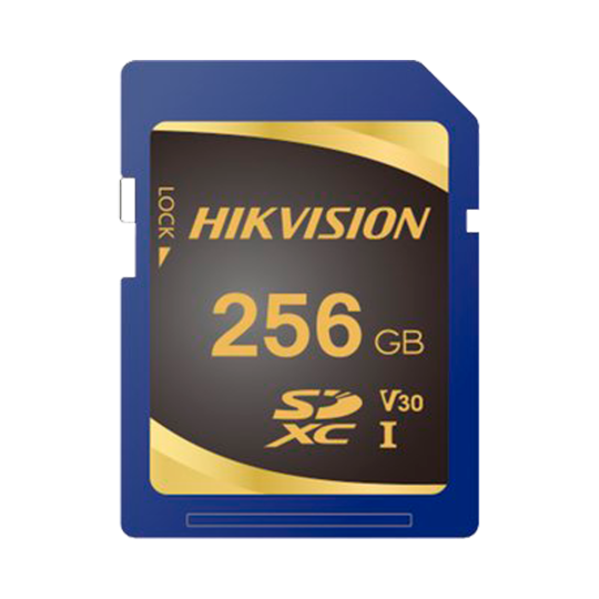 Tarjeta de memoria Hikvision  HS-SD-P10STD-256G